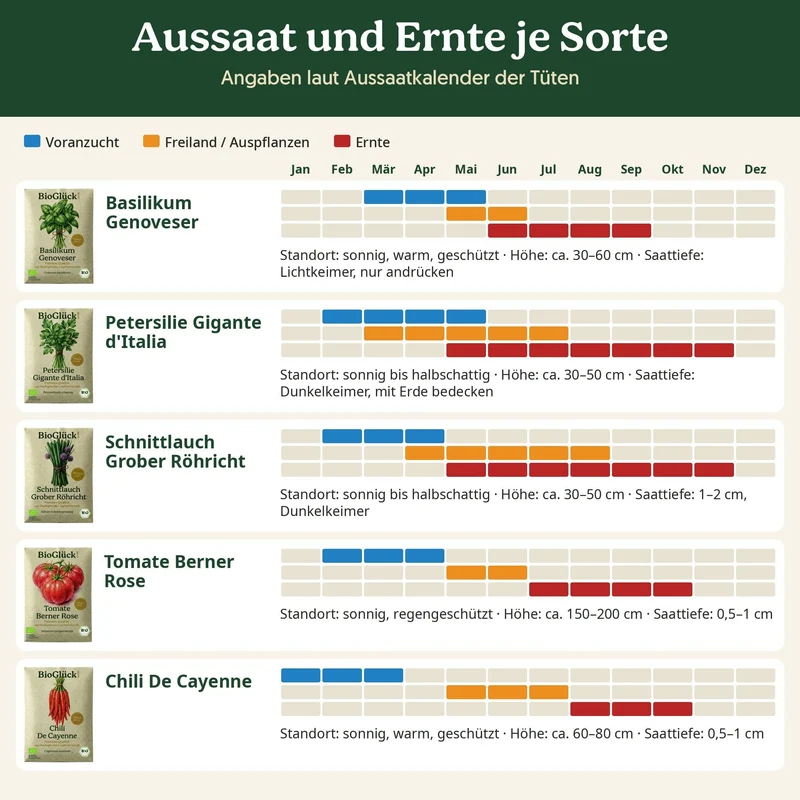 BioGlück Balkon & Fensterbank Saatgut Set – 5 Bio Samen: Basilikum, Petersilie, Schnittlauch, Tomate Berner Rose & Chili De Cayenne