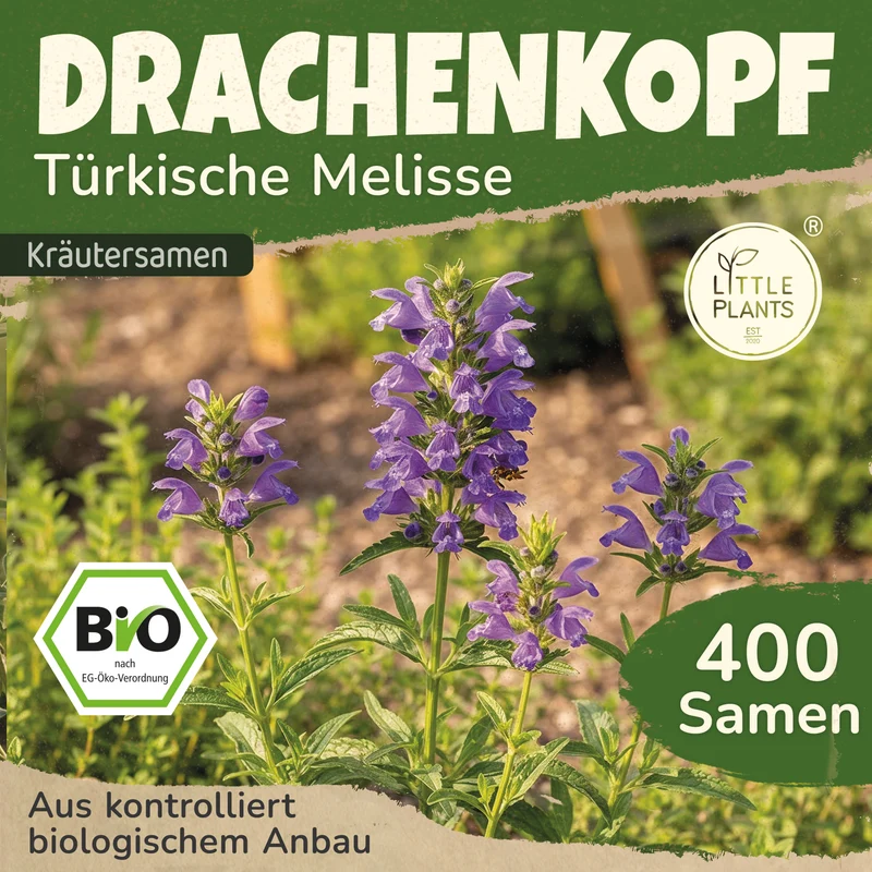 Bio-Drachenkopf (Türkische Melisse)