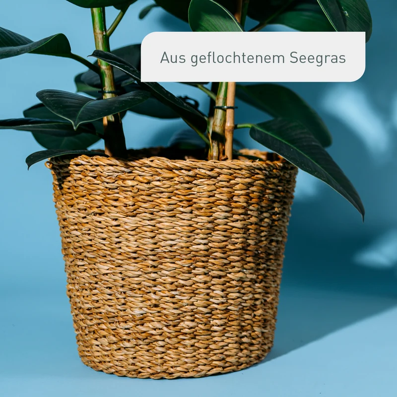 Übertopf aus Seegras XXL