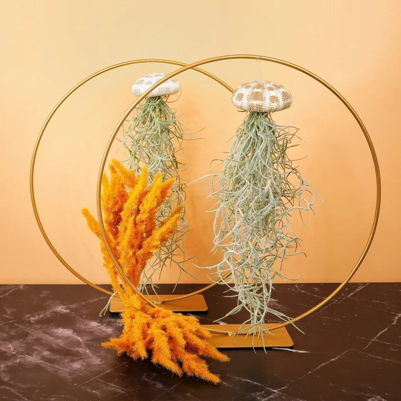 TILLANDSIA USNEOIDES - PANTHER
