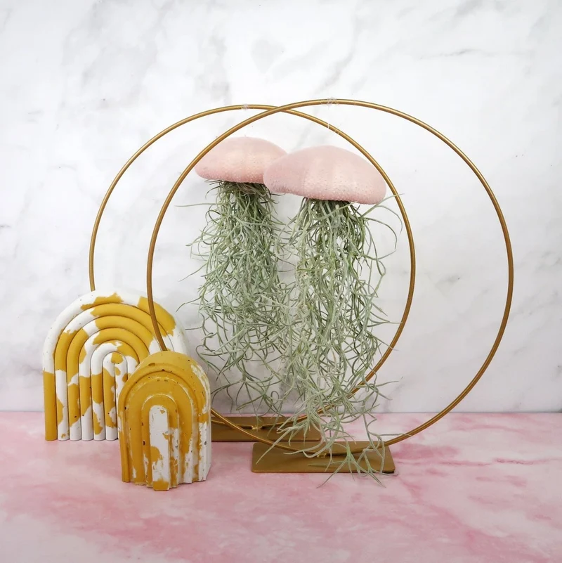 TILLANDSIA USNEOIDES - VELVET ROSE