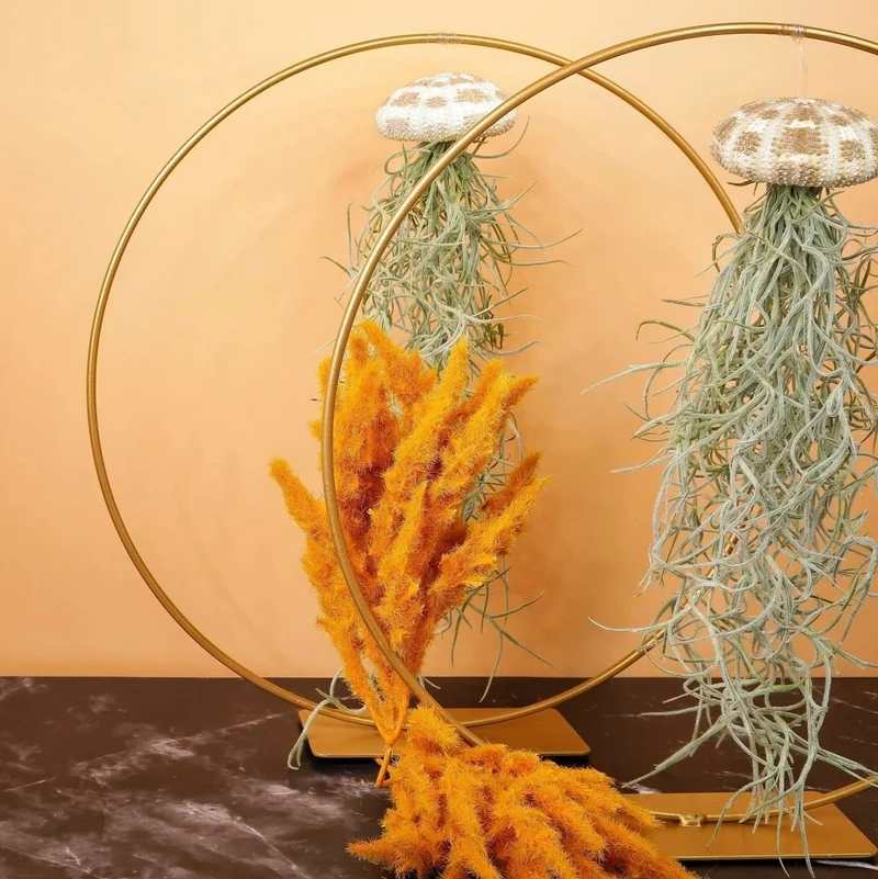 AIRPLANT HOLDER - RING GOLD