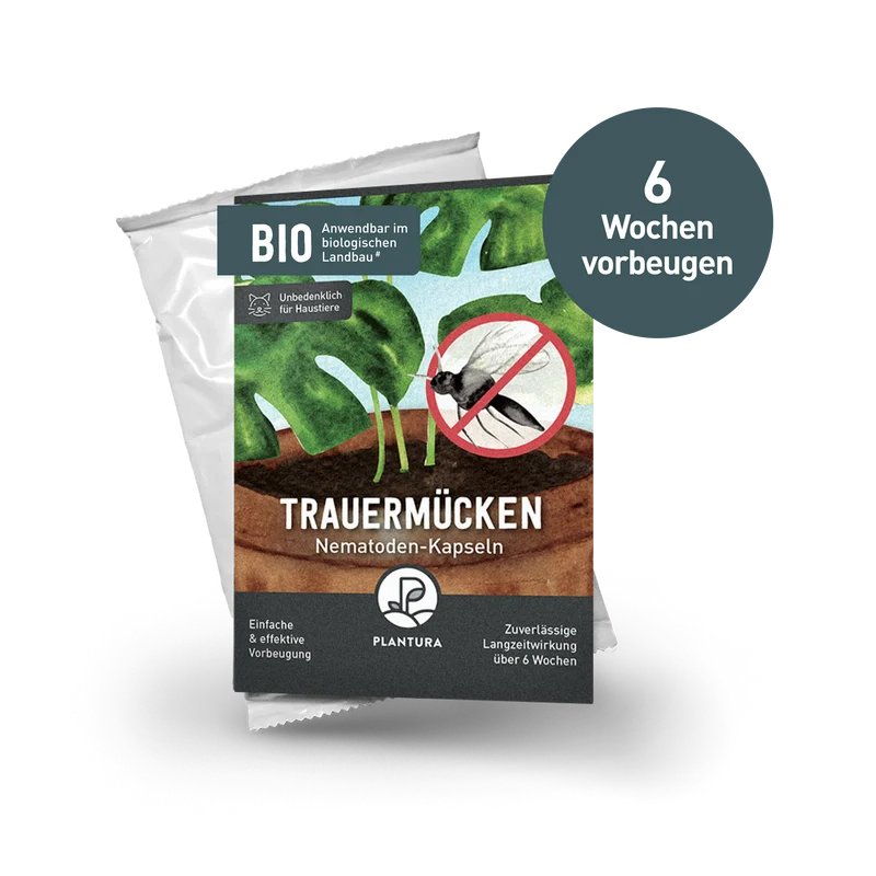 Nematoden-Kapseln zur Trauermücken-Prävention