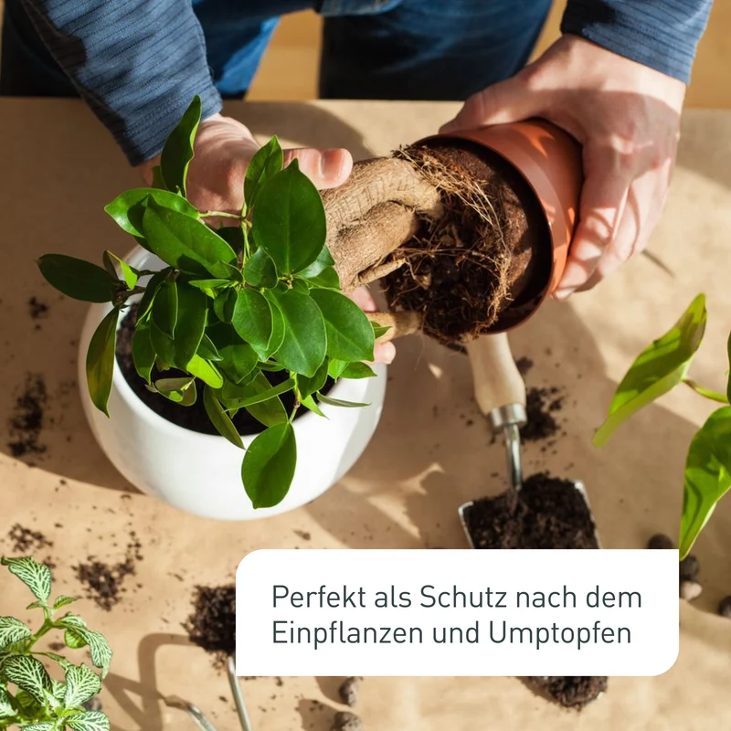 Nematoden-Kapseln zur Trauermücken-Prävention