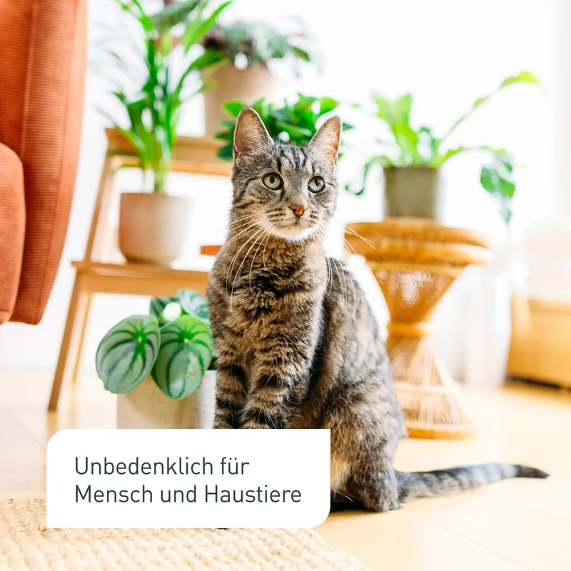 Nematoden-Kapseln zur Trauermücken-Prävention