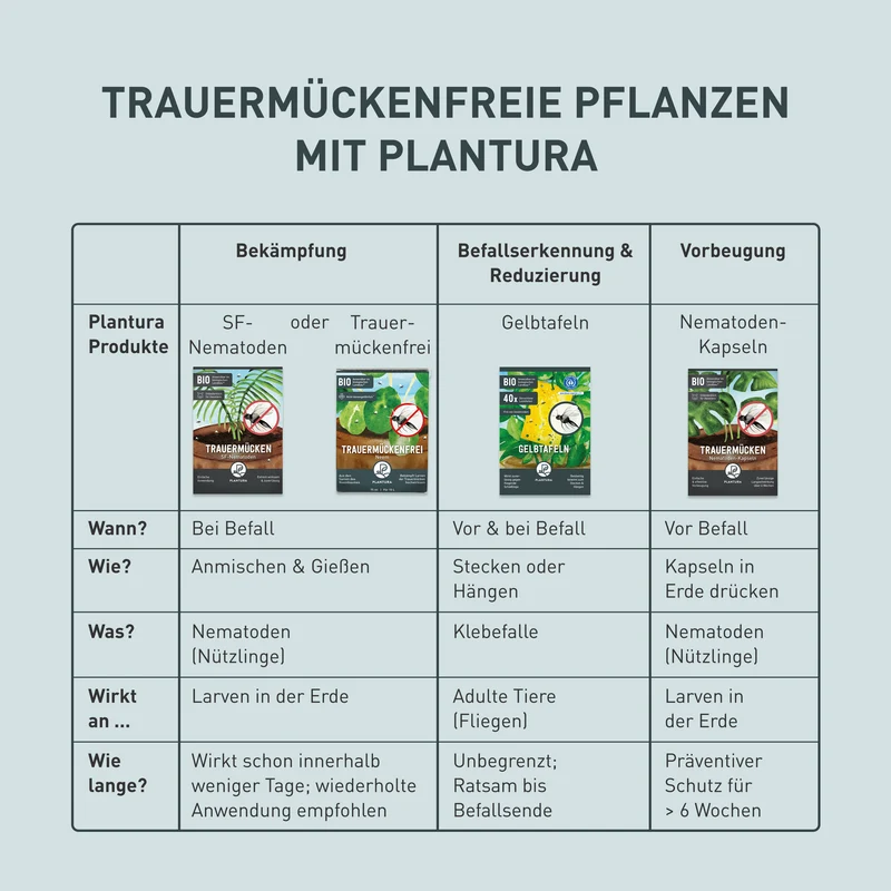 Nematoden-Kapseln zur Trauermücken-Prävention