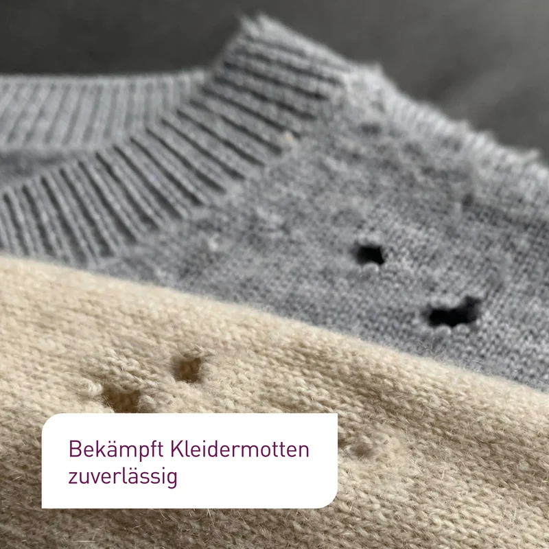 Schlupfwespen gegen Kleidermotten