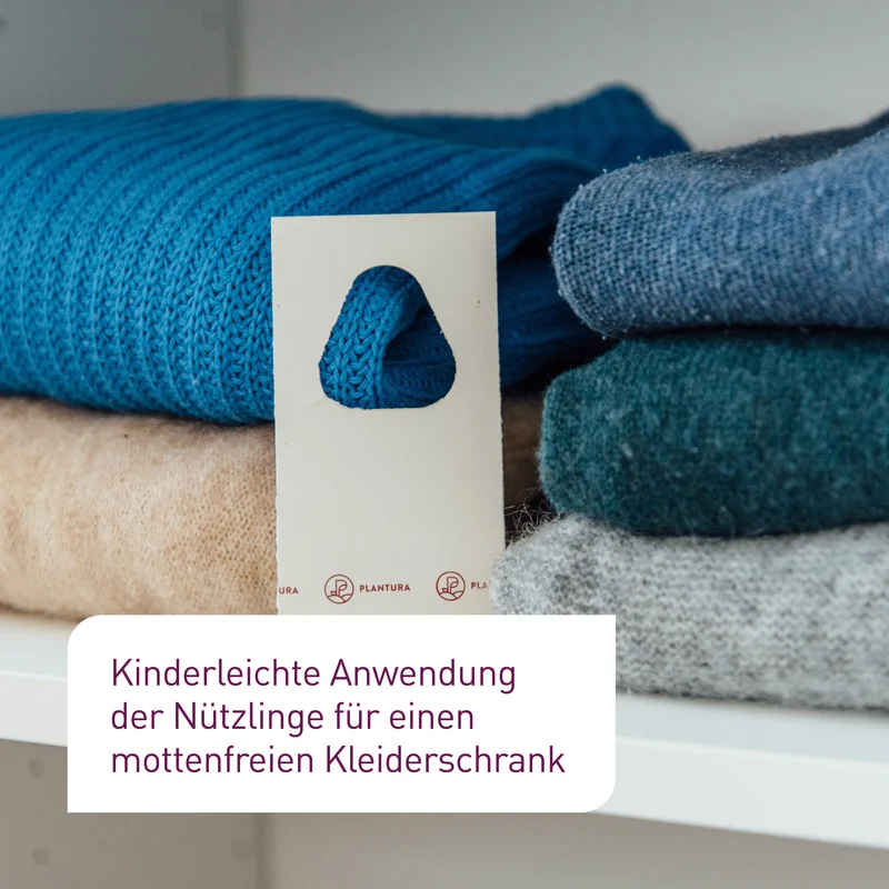 Schlupfwespen gegen Kleidermotten