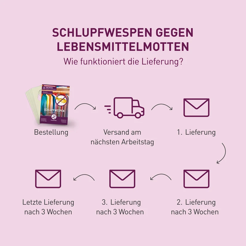 Schlupfwespen gegen Kleidermotten
