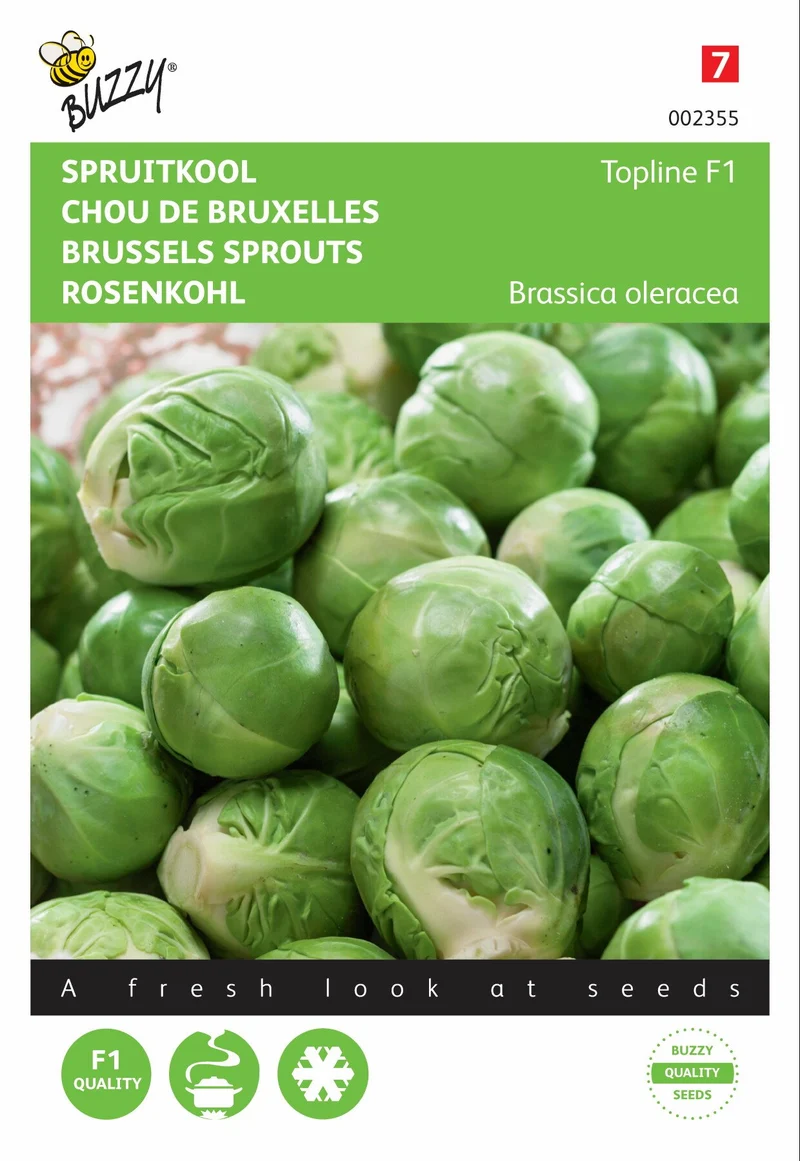 Rosenkohl Topline F1