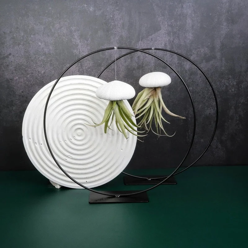 AIRPLANT HOLDER - RING BLACK