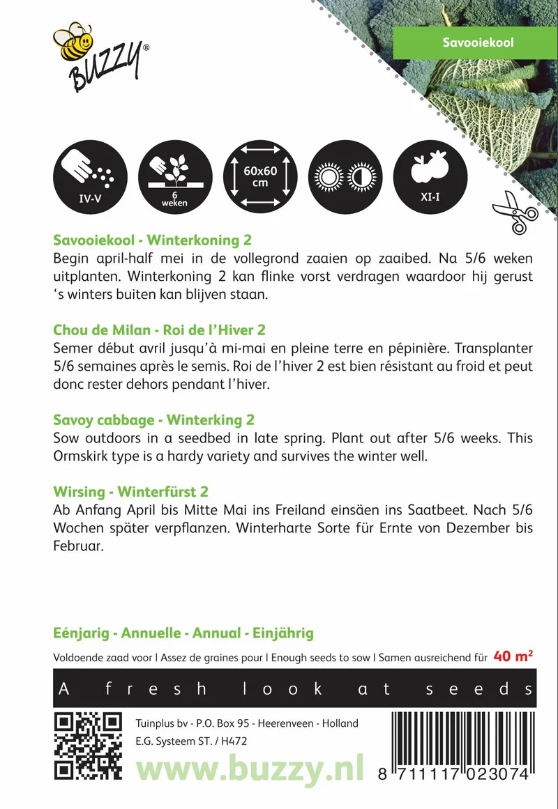 Wirsingkohl Winter King 2