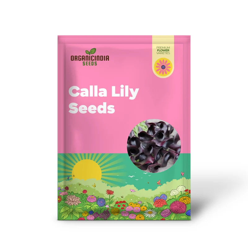 Calla Lily Seeds for Planting - 100 pcs