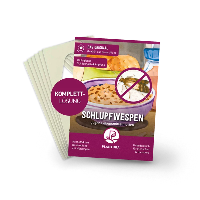 Schlupfwespen gegen Lebensmittelmotten