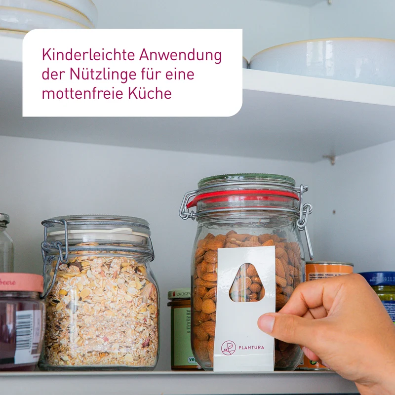 Schlupfwespen gegen Lebensmittelmotten