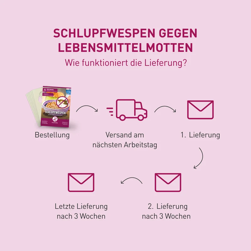 Schlupfwespen gegen Lebensmittelmotten