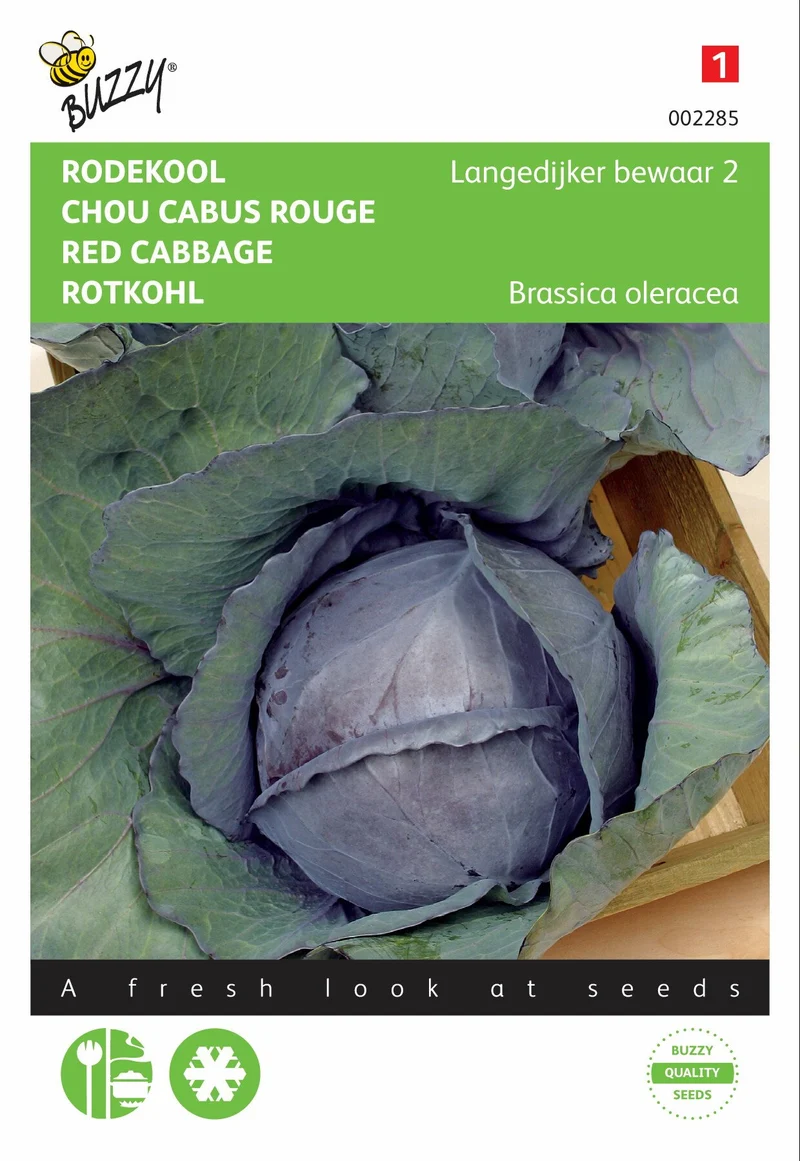Rotkohl Langedijker Save 2