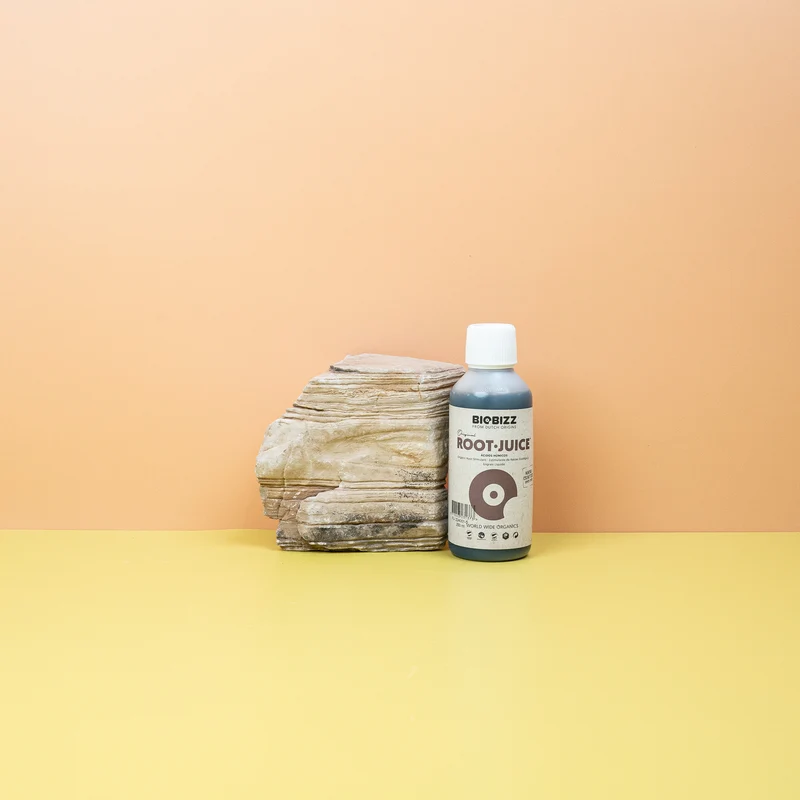 WURZELSTIMULATOR - BIOBIZZ ROOT JUICE