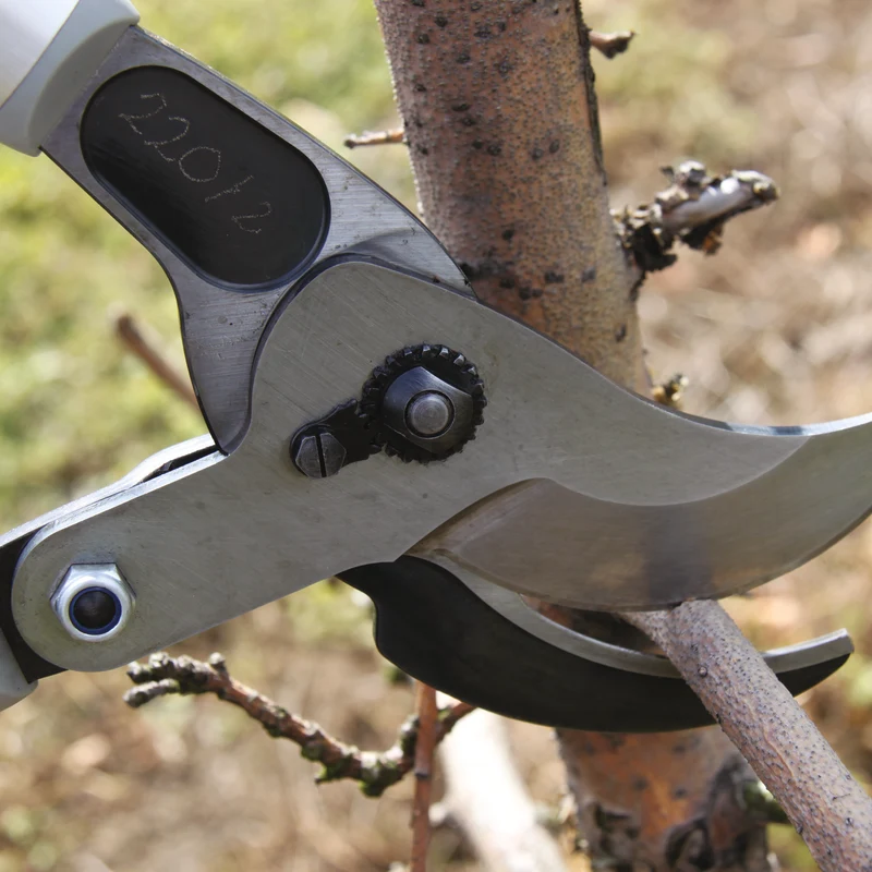 FELCO 220 Bypass-Astschere mit Getriebe