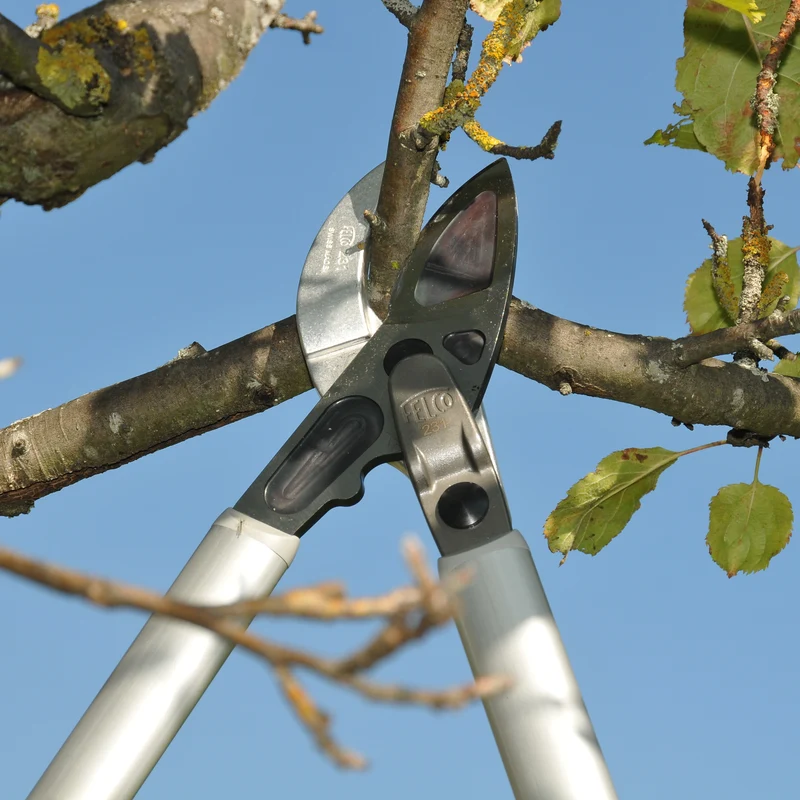 FELCO 231 Amboss-Astschere mit Getriebe