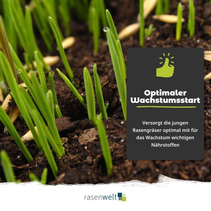 Starterdünger ARENA Starter 10+15+10(+15CaO) 8kg
