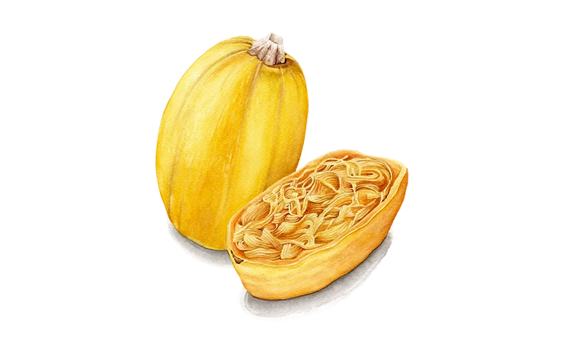 Spaghettikürbis
