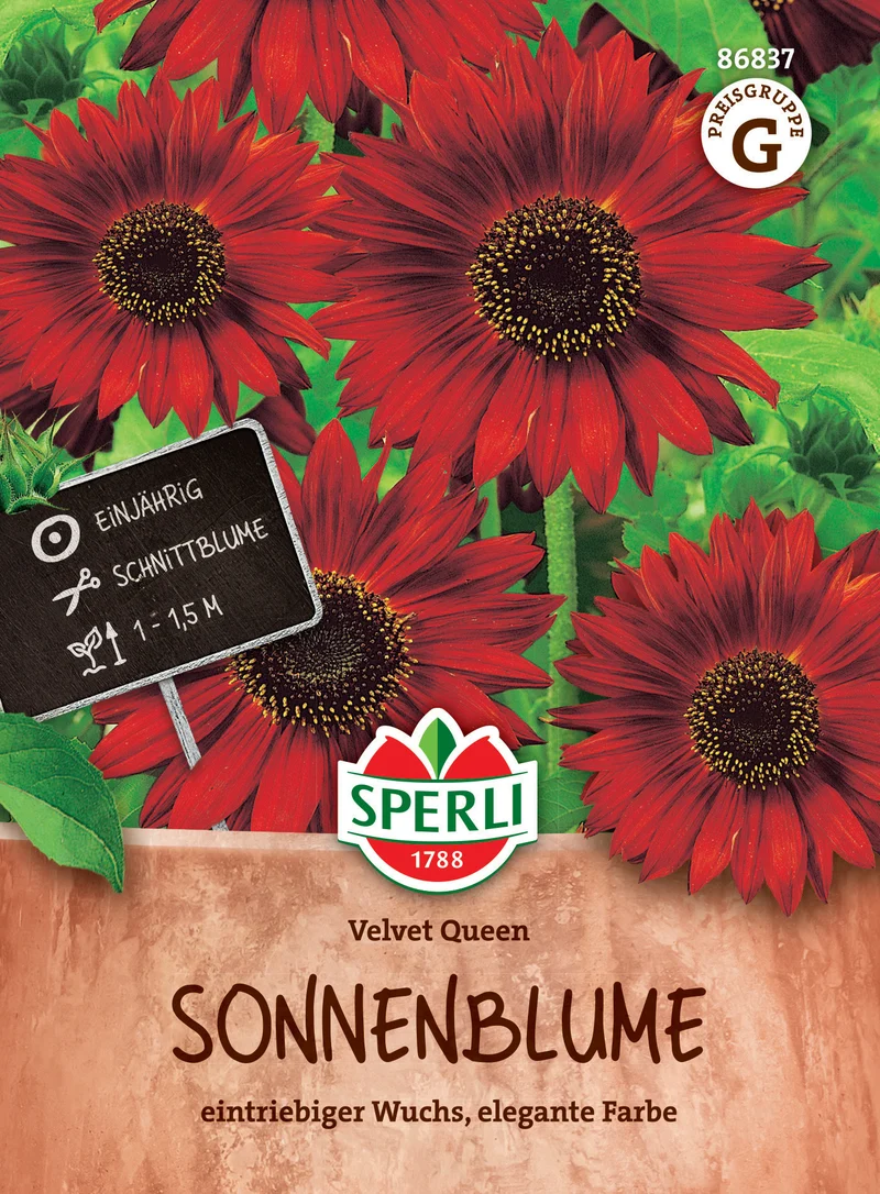 SPERLI Sonnenblume Velvet Queen