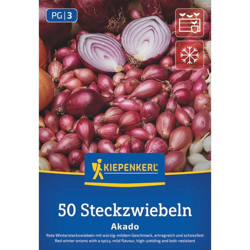 Kiepenkerl Rote Wintersteckzwiebel 'Akado'