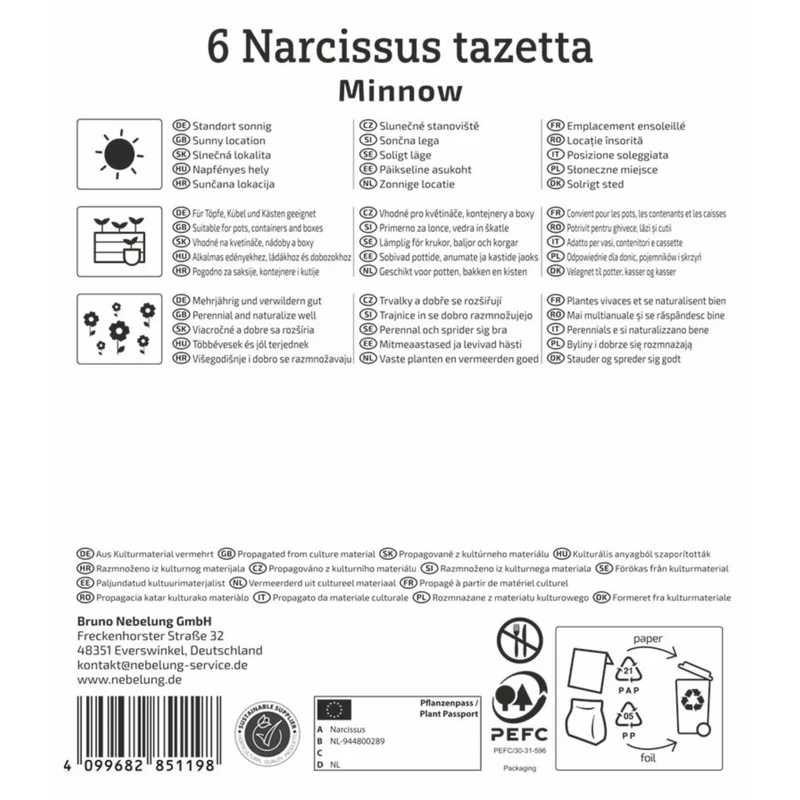 Kiepenkerl Tazetten-Narzisse 'Minnow'