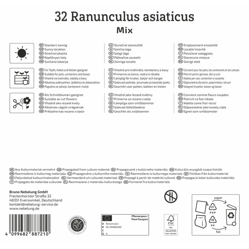 Kiepenkerl Ranunkel Mischung, Mega-Pack