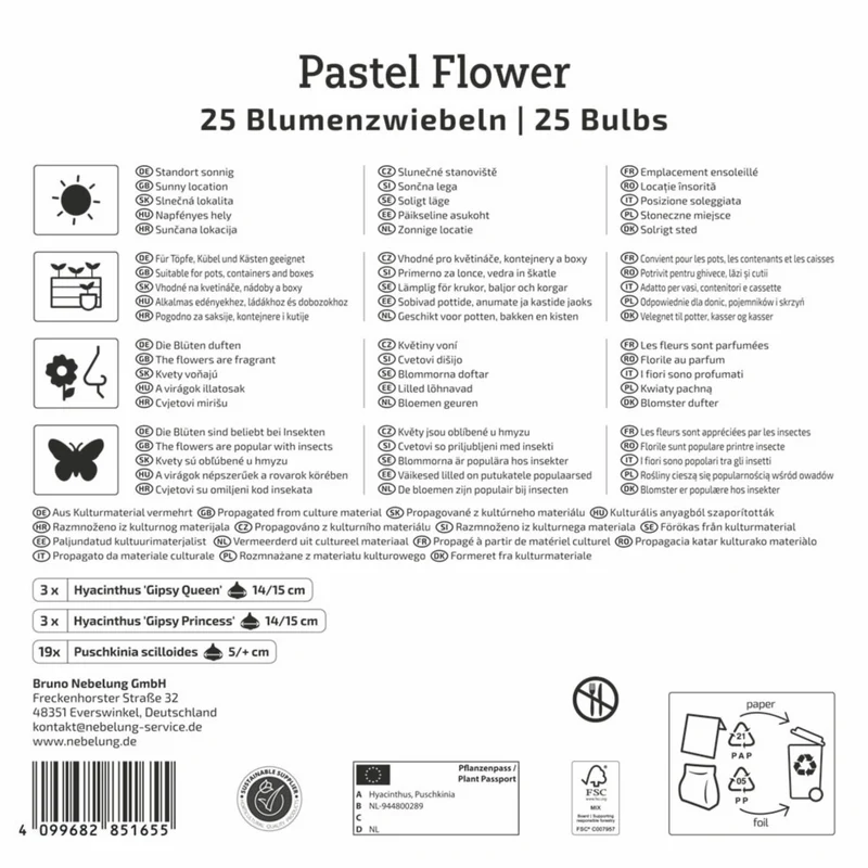 Kiepenkerl Blumenzwiebelmischung "Pastel Flower", Mega-Pack