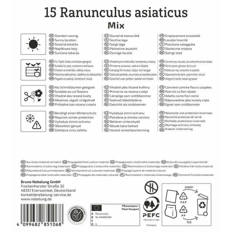 Kiepenkerl Ranunkel Mischung