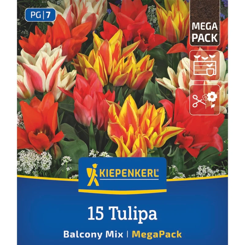 Kiepenkerl Botanische Tulpen "Balkonzauber Mischung", Mega-Pack