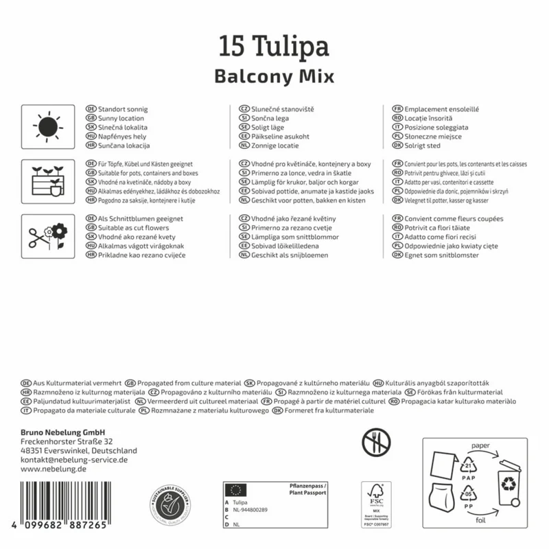 Kiepenkerl Botanische Tulpen "Balkonzauber Mischung", Mega-Pack