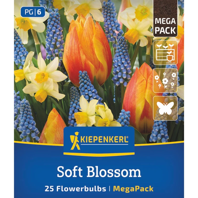 Kiepenkerl Blumenzwiebelmischung "Soft Blossom Mix", Mega-Pack