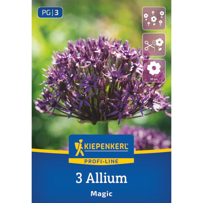 Kiepenkerl Zierlauch 'Magic', Profi-Line