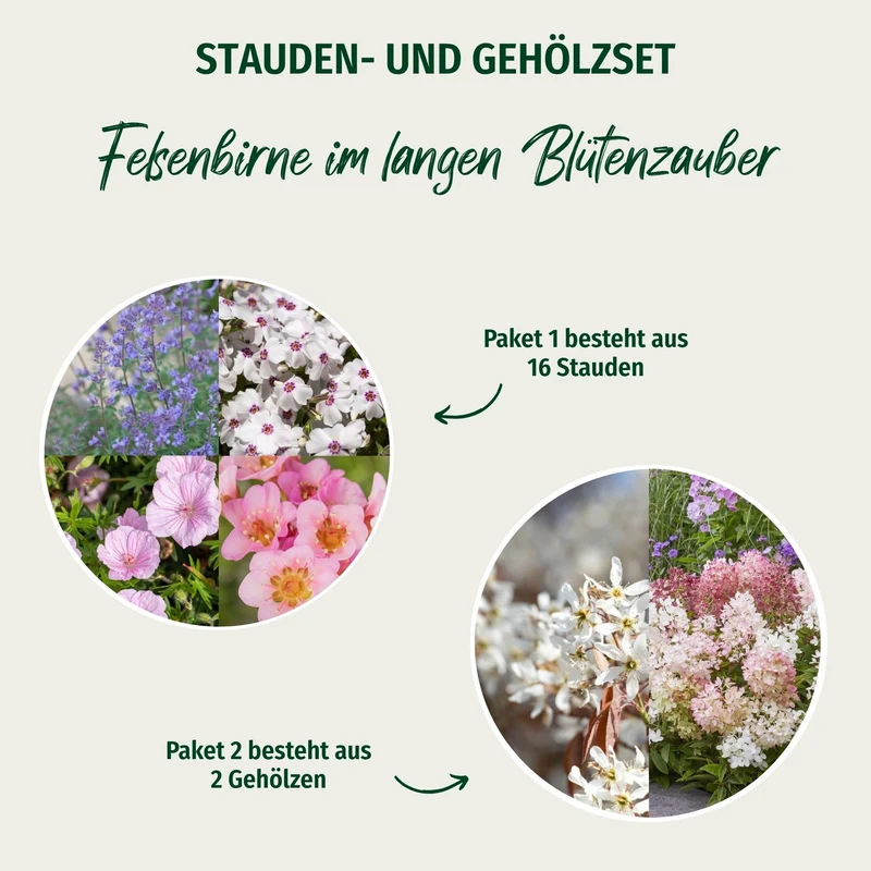 Pflanzen-Set "Felsenbirne im langen Blütenzauber"