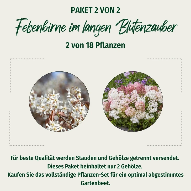 Paket 2 von 2 "Felsenbirne im langen Blütenzauber"