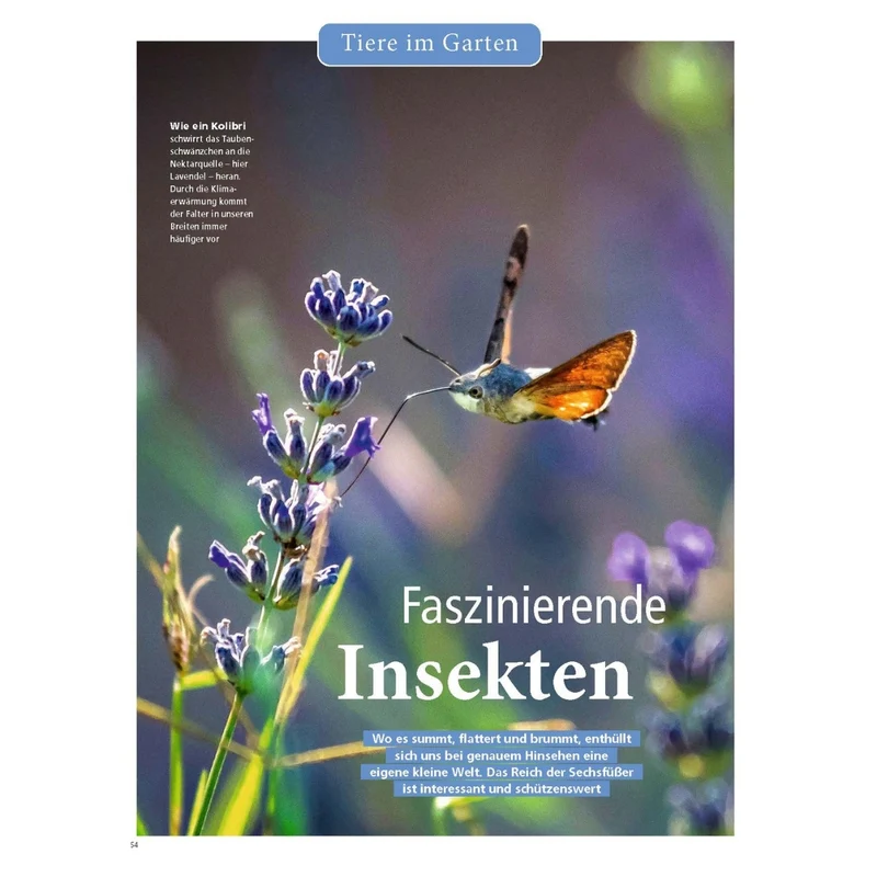 Zeitschrift Mein schöner Garten Spezial 'Naturgarten' 03/26