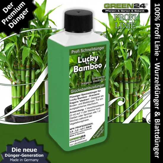 Glücksbambus-Dünger – 250 ml / Doppelpack