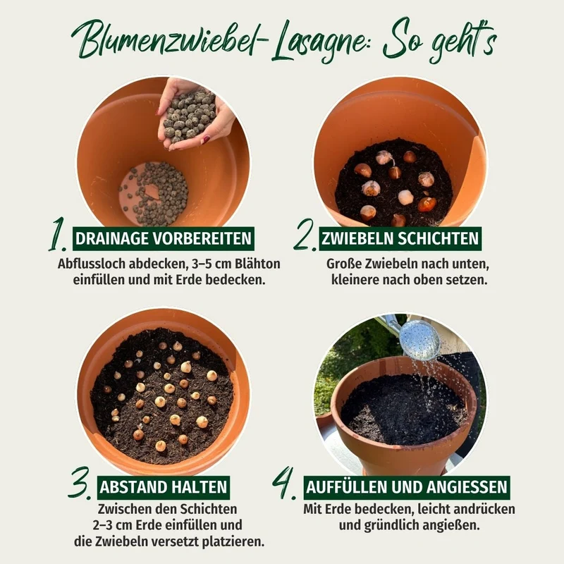 Kiepenkerl Blumenzwiebelmischung Lasagne-Mix "Zartes Frühlingserwachen“