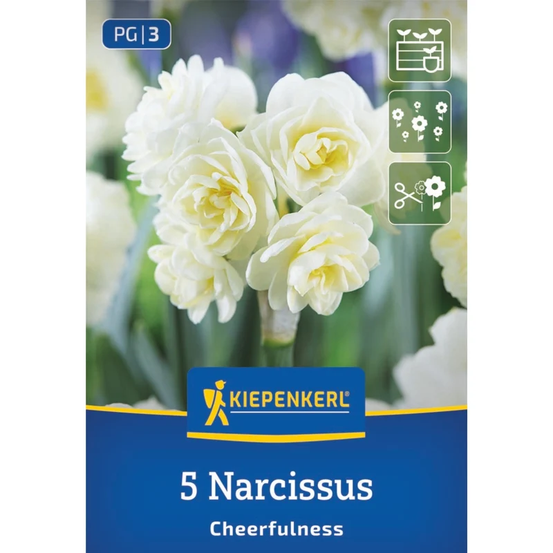 Kiepenkerl Blumenzwiebelmischung Lasagne-Mix "Violetter Frühlingstraum"