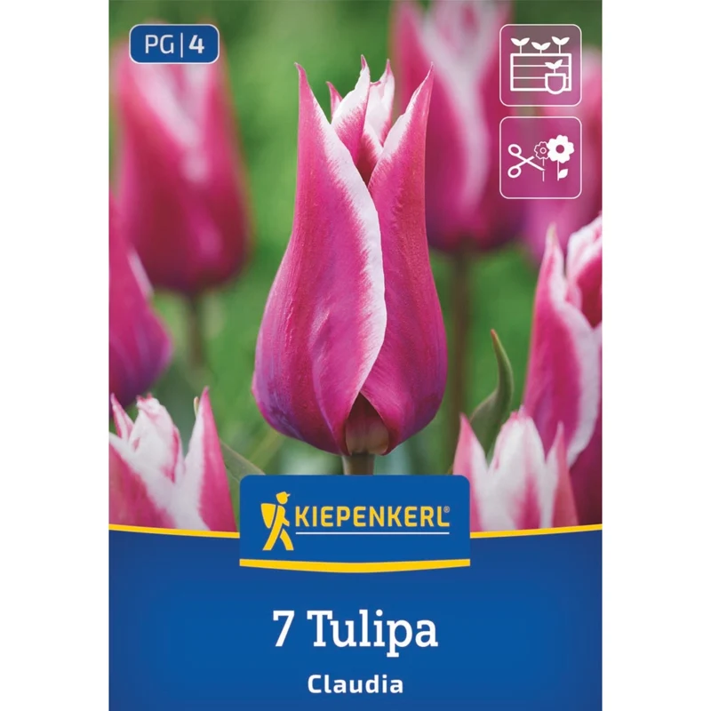 Kiepenkerl Blumenzwiebelmischung Lasagne-Mix "Königliche Frühlingspracht"