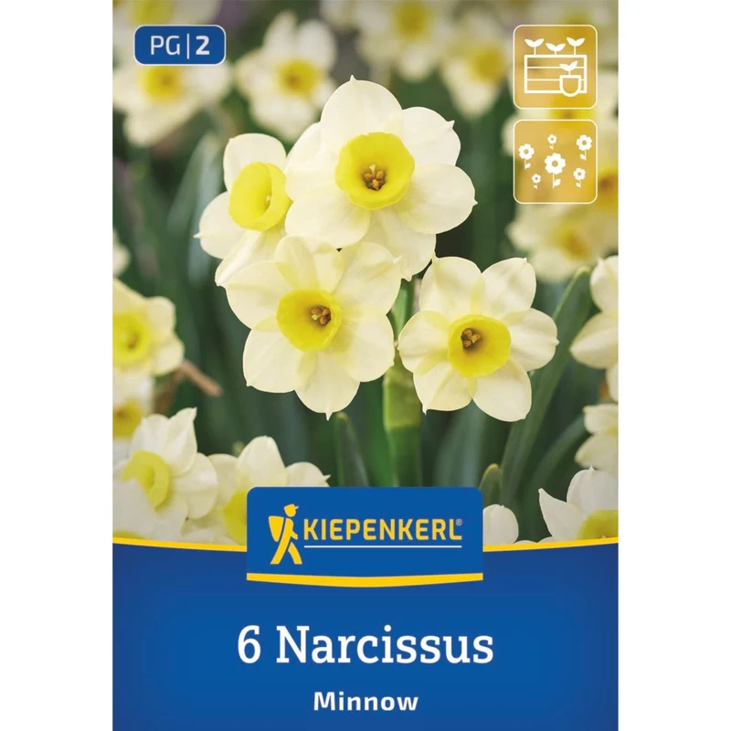 Kiepenkerl Blumenzwiebelmischung Lasagne-Mix "Zartes Frühlingserwachen“