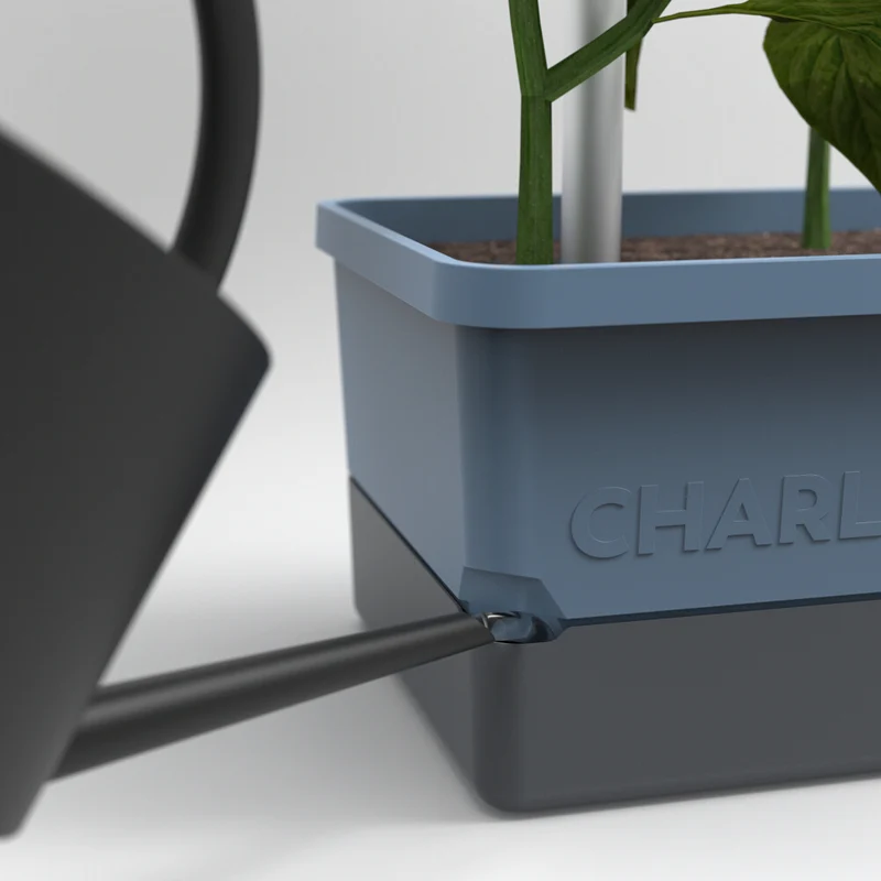 Gusta Garden CHARLY CHILI