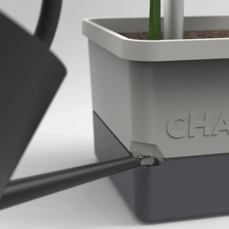 Gusta Garden CHARLY CHILI