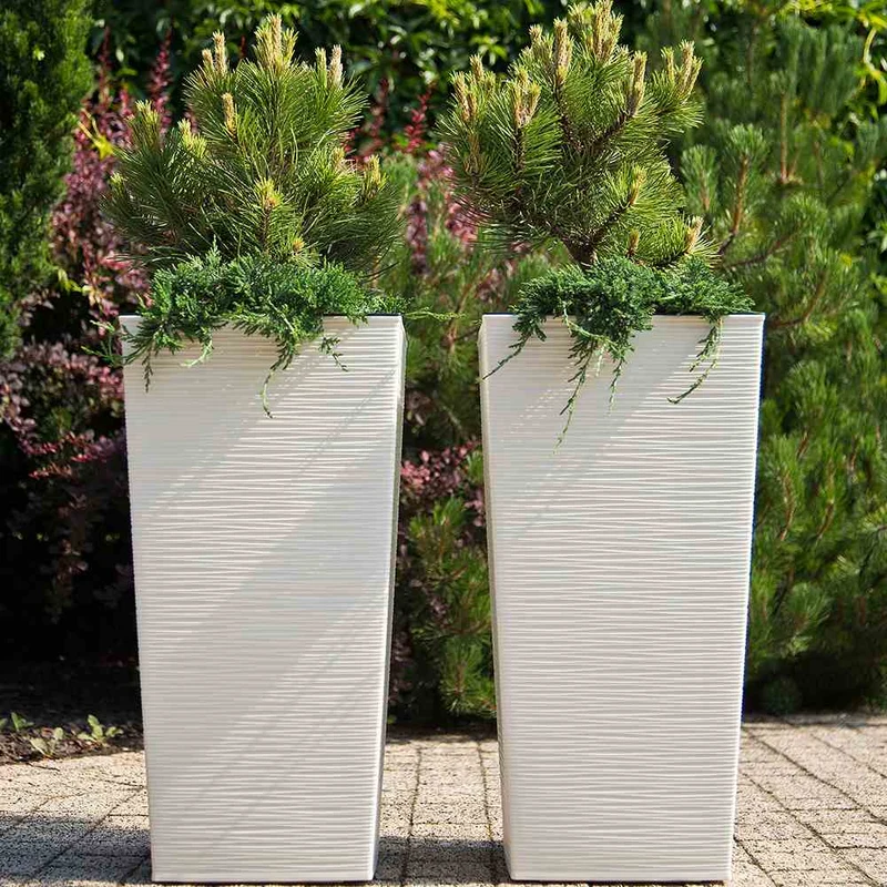 SIENA GARDEN Blumentopf 'Nizza Groove'
