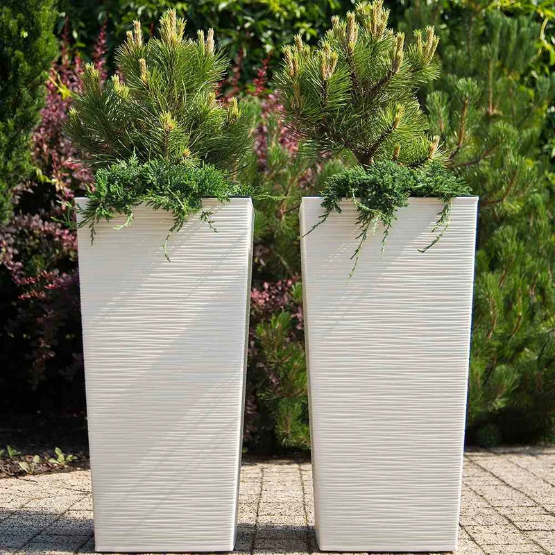 SIENA GARDEN Blumentopf 'Nizza Groove'