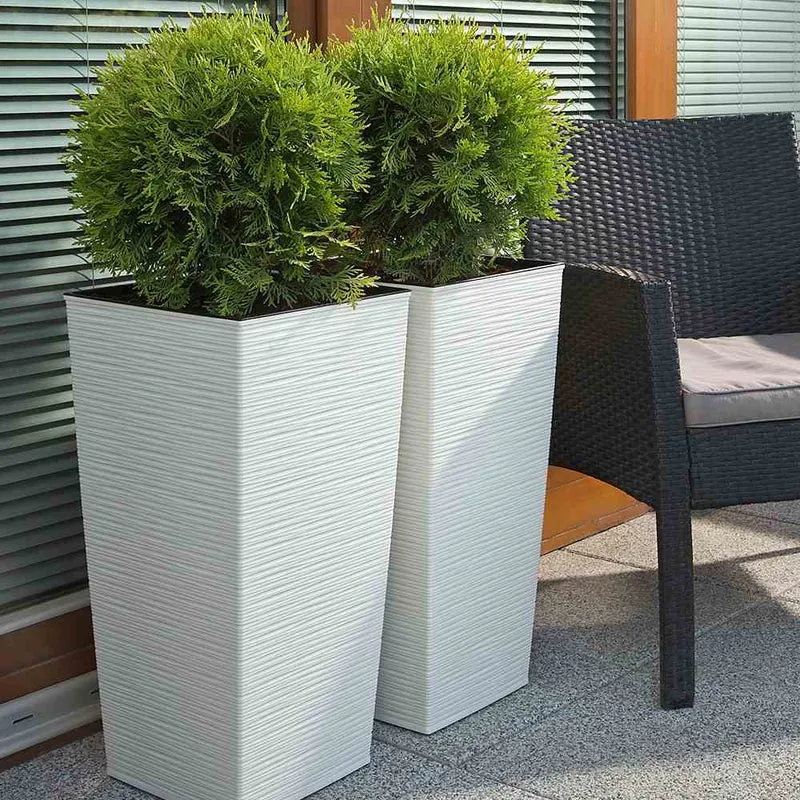 SIENA GARDEN Blumentopf 'Nizza Groove'