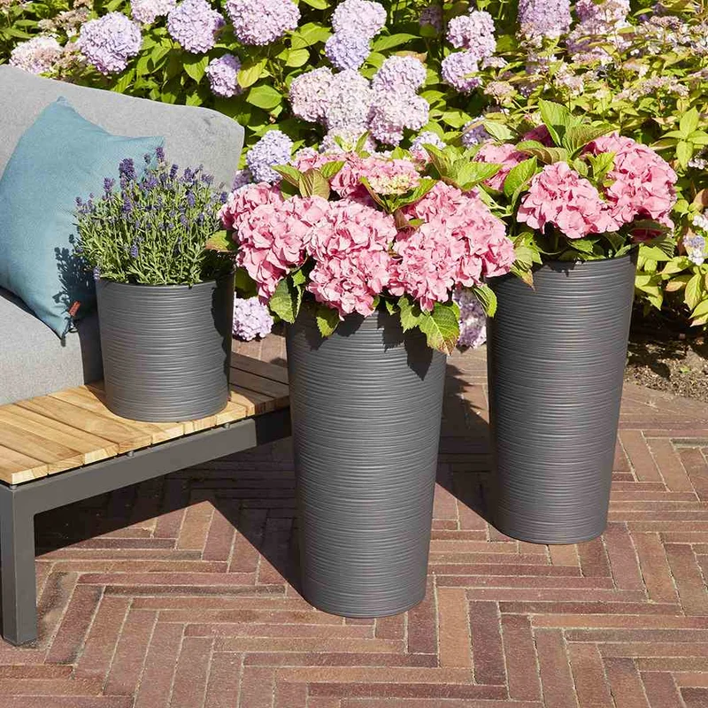 SIENA GARDEN Blumentopf 'Locon Groove'